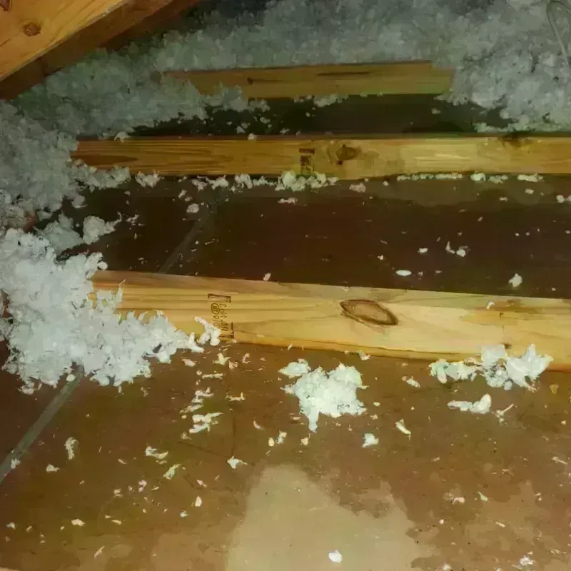 Attic Water Damage in Naguabo, PR